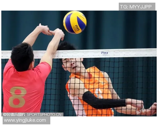 深入探讨上海排球队的战术配合与球员默契度分析