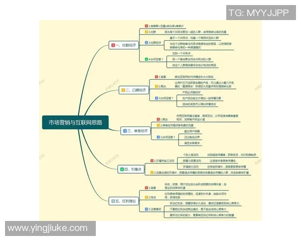 深度分析成都排球队的运营策略与市场推广模式探讨